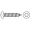 DIN7981TX Pan head tapping screw with Torx Stainless steel A2